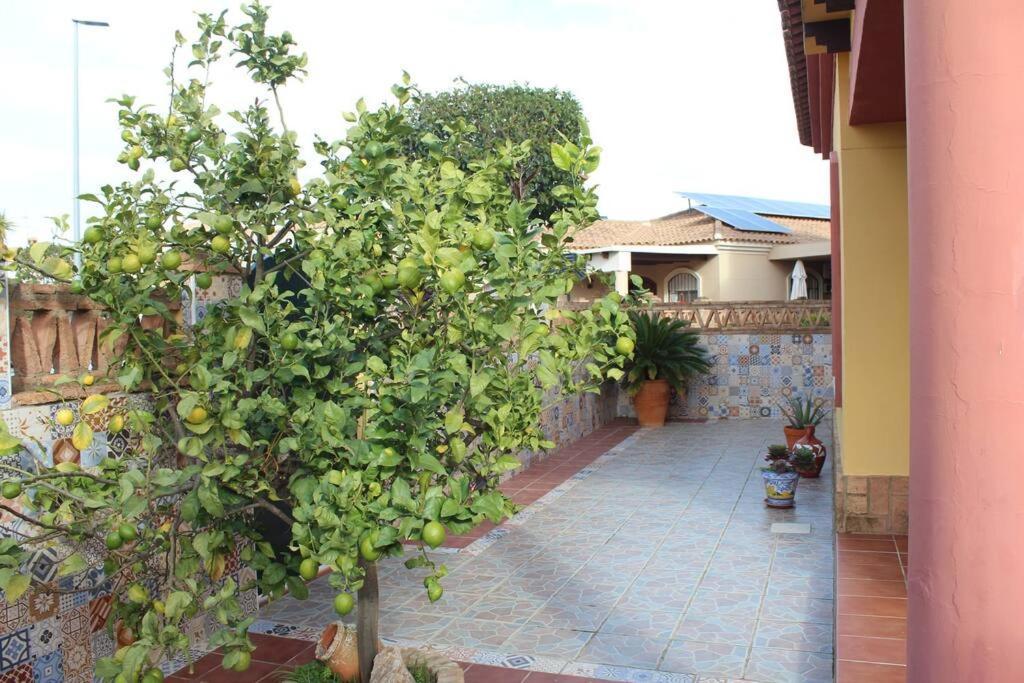 Casa 4 Dormitorios En ايامونتي المظهر الخارجي الصورة