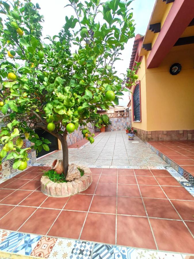 Casa 4 Dormitorios En ايامونتي المظهر الخارجي الصورة